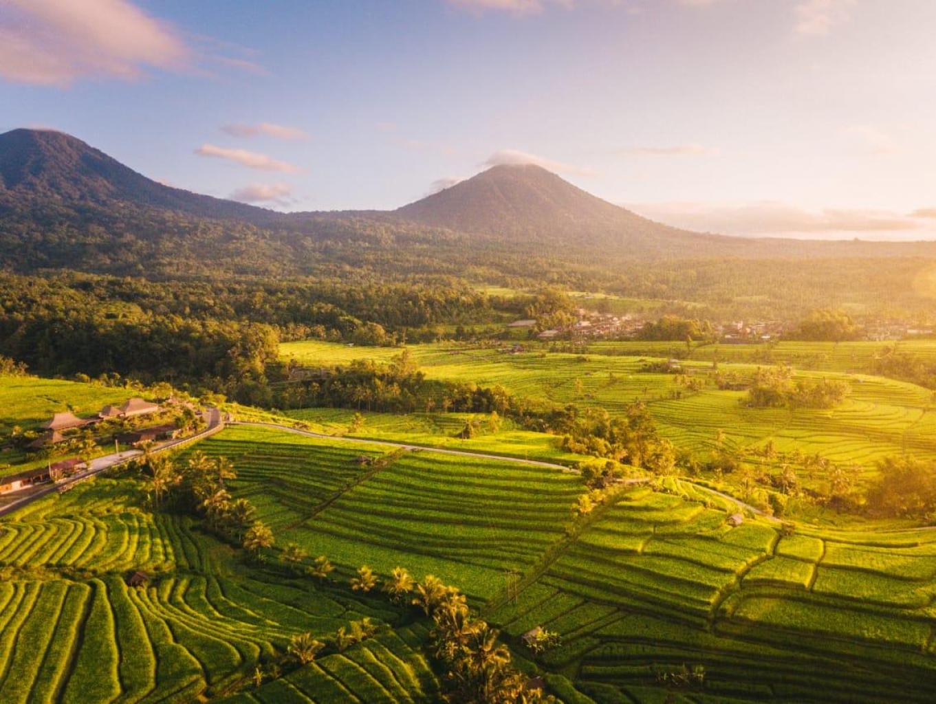 Alam Desa Semanan yang Asri