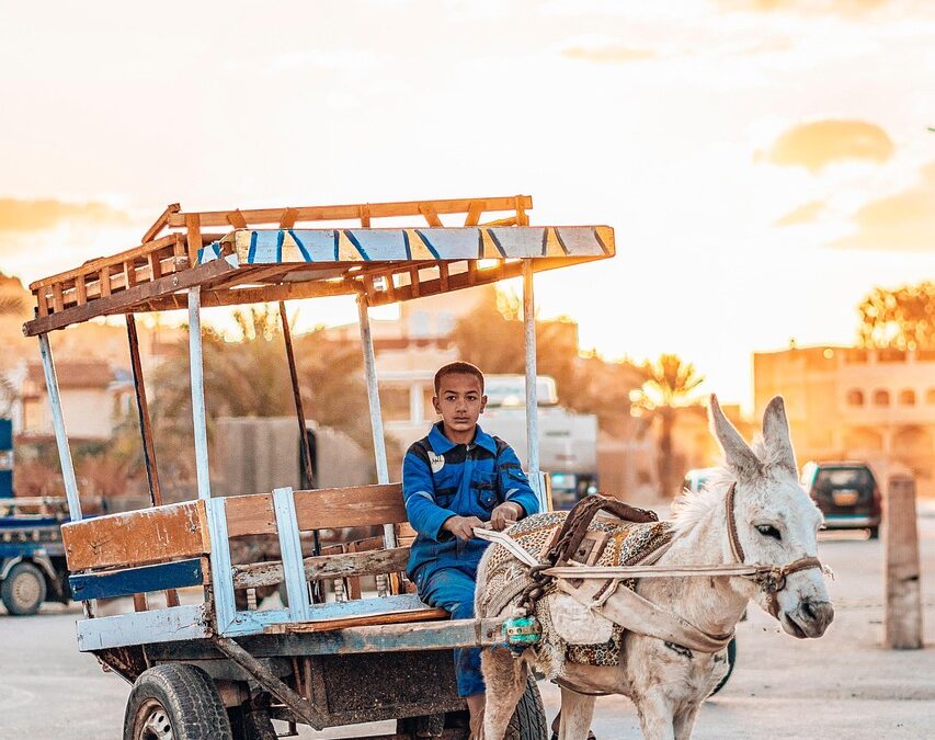 Peran Pemerintah dalam Program Bantuan Sosial di Desa Semanan
