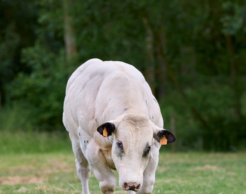 Evaluasi Keberhasilan Program Bantuan Sosial di Desa Semanan