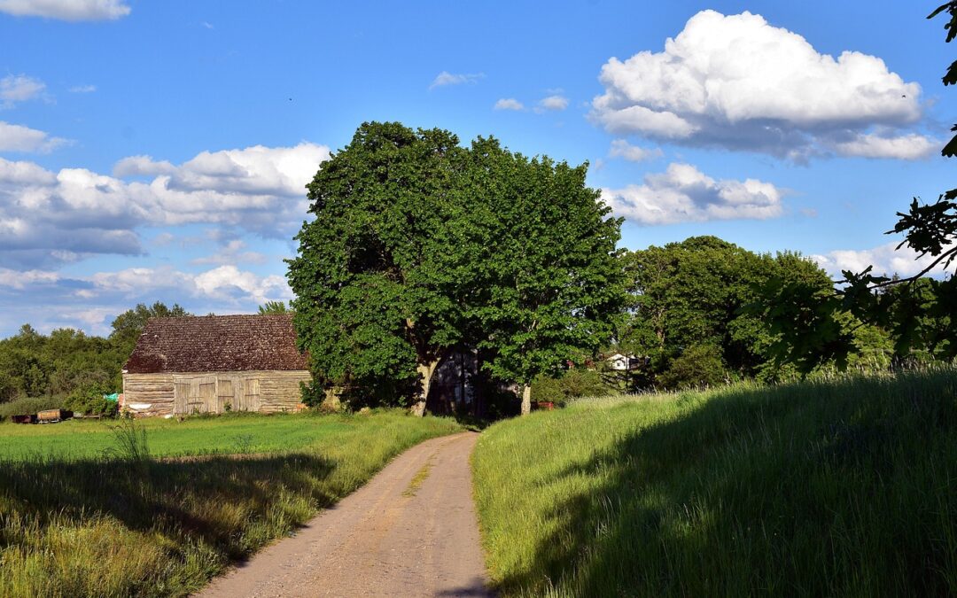 Inovasi dalam Pelatihan Perekonomian di Desa Semanan