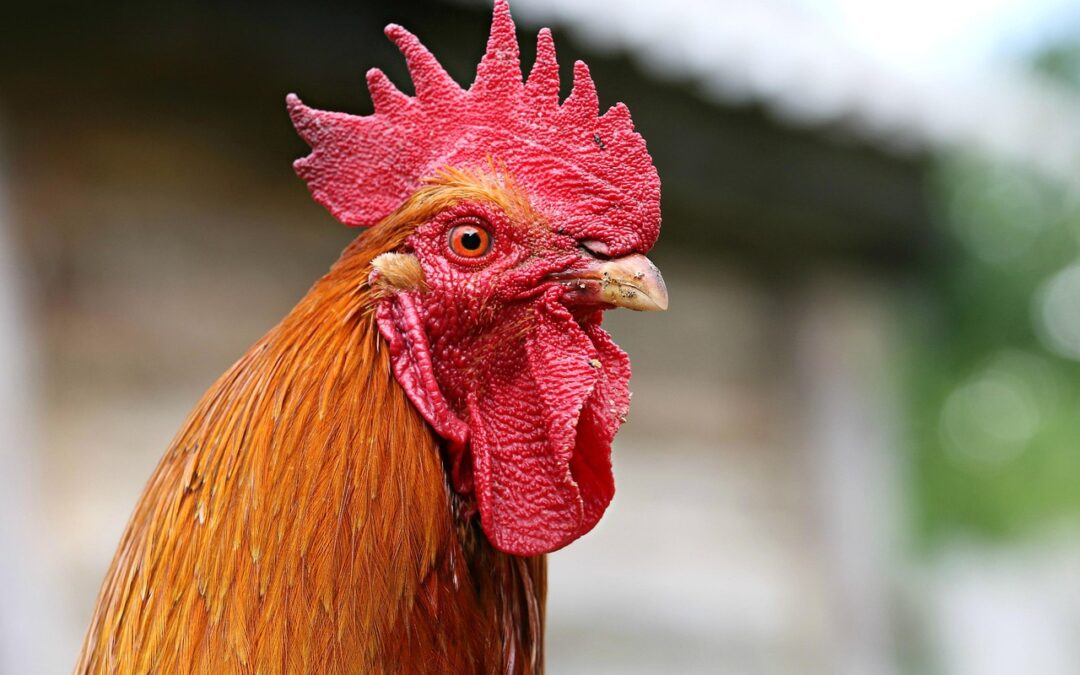 Kolaborasi antar Instansi dalam Pelatihan Perekonomian Desa Semanan